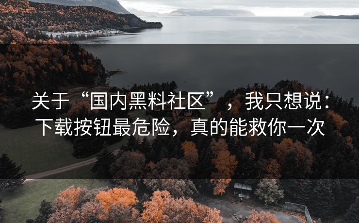 关于“国内黑料社区”，我只想说：下载按钮最危险，真的能救你一次